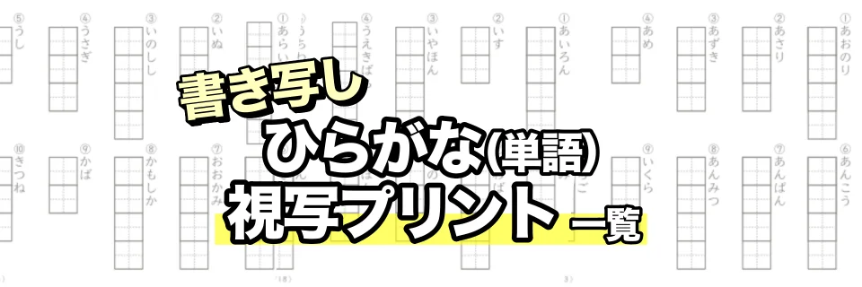 なぞり書き練習（視写）