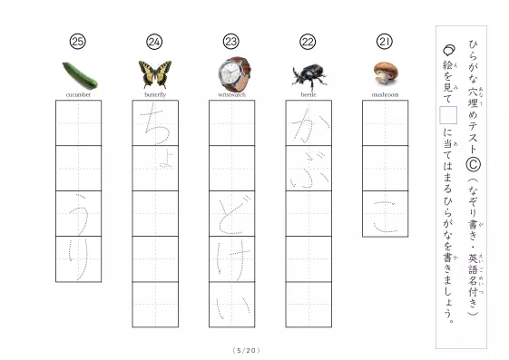 「穴埋めひらがなテストB（写真付）」穴埋めひらがなテストB（写真付）
