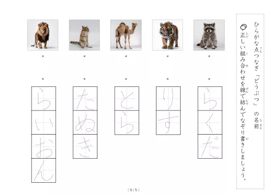 「動物写真と言葉の線結び」動物写真と言葉の線結び