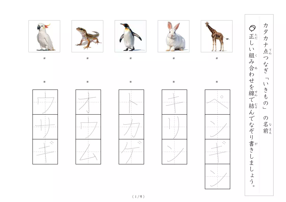 動物写真とカタカナの線結び