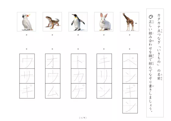 「動物写真と言葉の線結び」動物写真と言葉の線結び