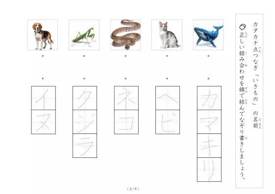 「動物写真と言葉の線結び」動物写真と言葉の線結び