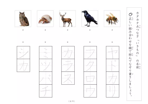 「動物写真と言葉の線結び」動物写真と言葉の線結び