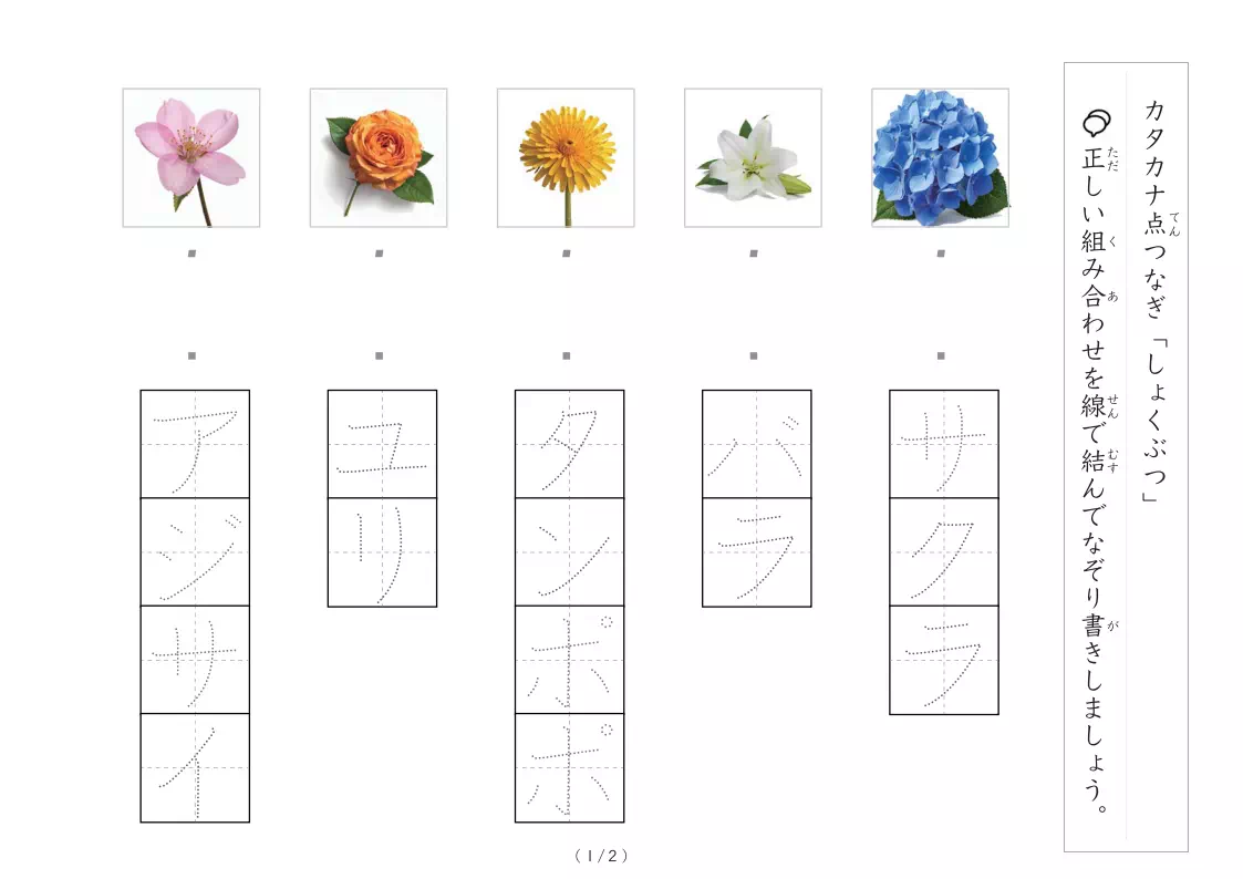 植物にかかわる物の写真とカタカナの線結び