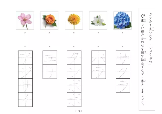 「植物にかかわる物の写真と言葉の線結び」植物にかかわる物の写真と言葉の線結び