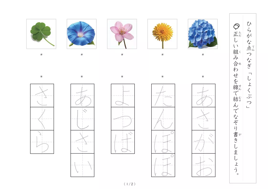 植物にかかわる物の写真とひらがなの線結び