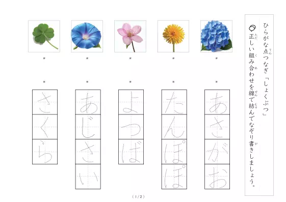 「植物にかかわる物の写真と言葉の線結び」植物にかかわる物の写真と言葉の線結び