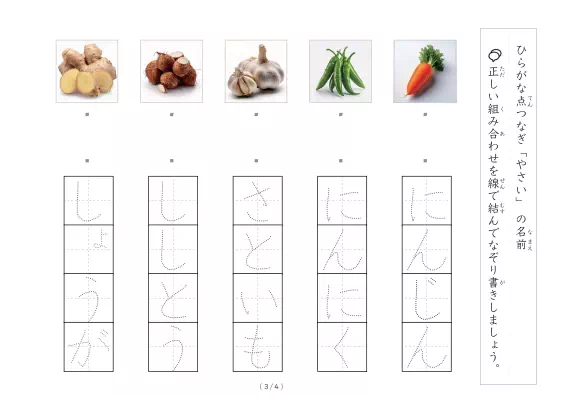 「野菜写真と言葉の線結び」野菜写真と言葉の線結び